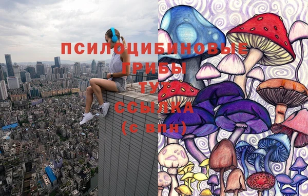 прущие грибы Алексеевка