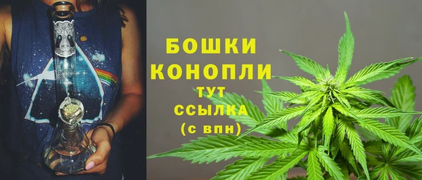 винт Лагань