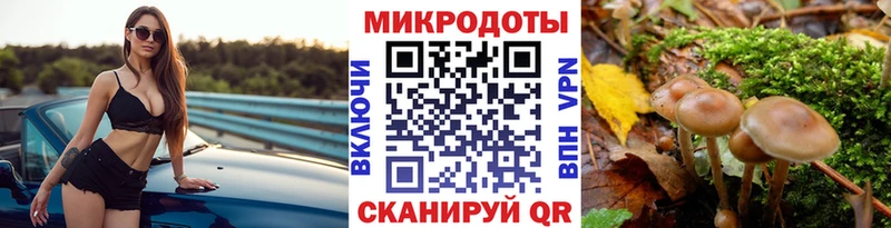 Галлюциногенные грибы Psilocybe  купить  цена  Ачинск 